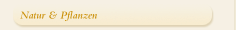 Natur & Pflanzen